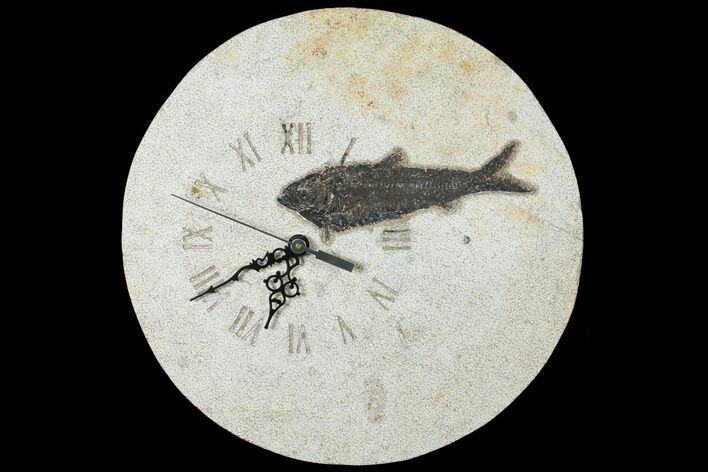 Wide Fossil Fish (Knightia) Clock - Wyoming #132876